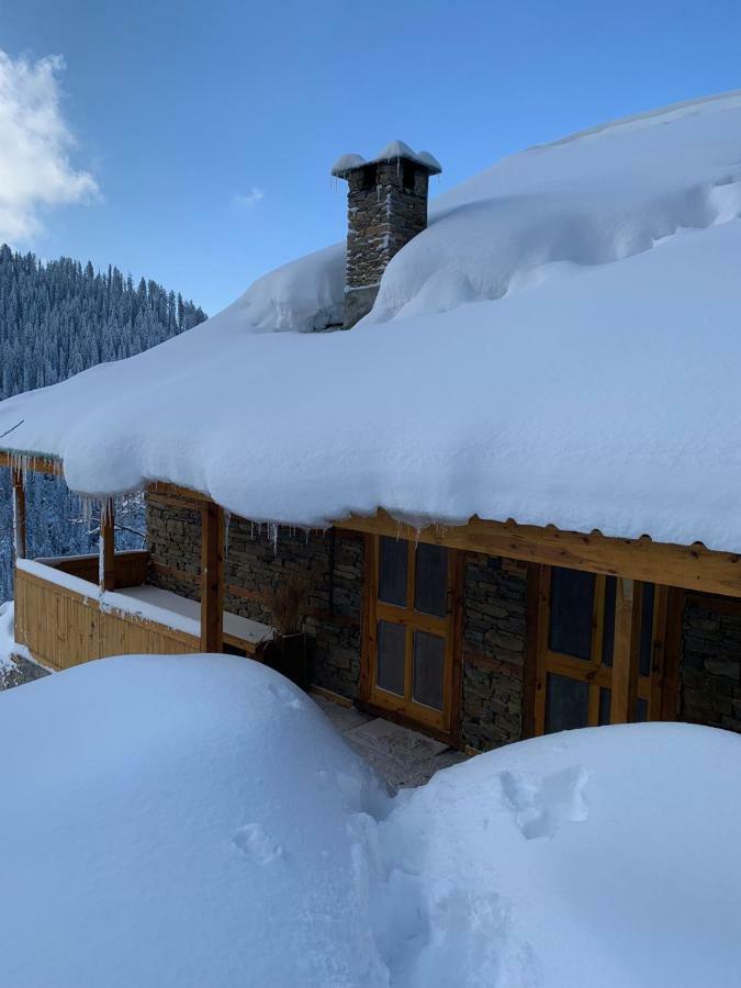 Skyline Villa Rental Нарканда Екстер'єр фото